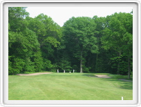 306-0623_IMG.JPG